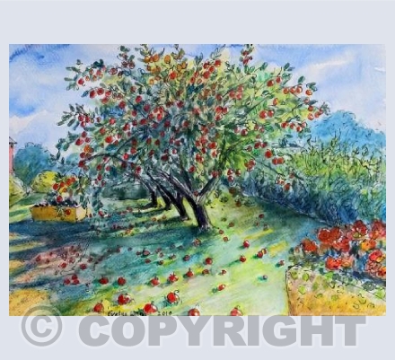 Apple trees in autumn 
