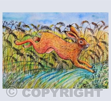 Harvest hare