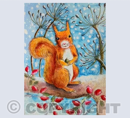 Red squirrel in the snow 
