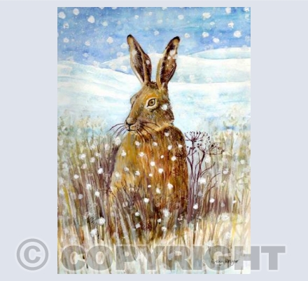 Hare in the snow