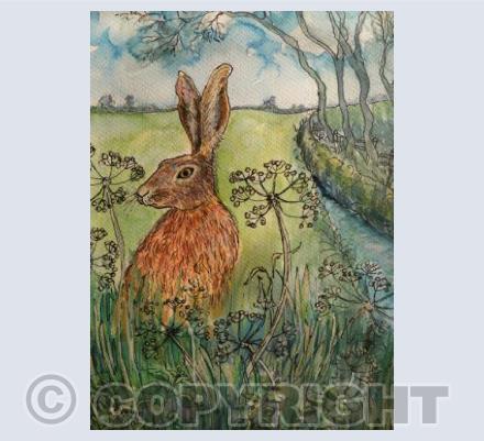 Hare By The River Brant