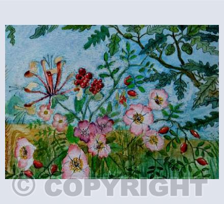 Summer Hedgerow