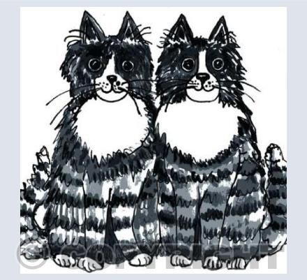 Happy Cats