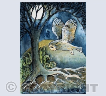 Owl in moon light