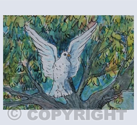 Dove