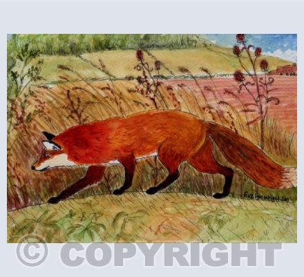 Fox in Lincolnshire landscape