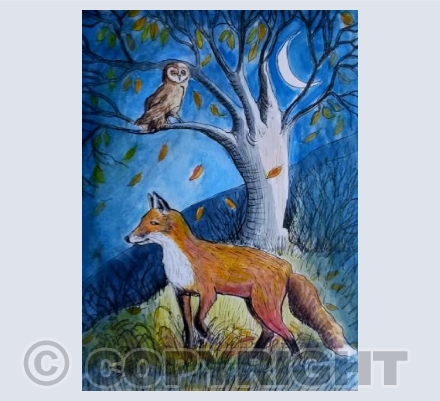 Red fox with owl