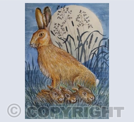 Hare with leveretts 