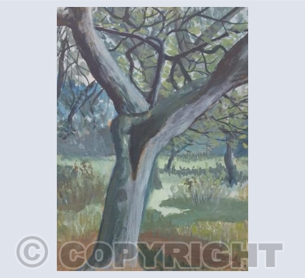 Orchard Elston Notts 1970