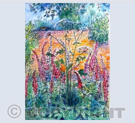 Foxgloves and song thrush 