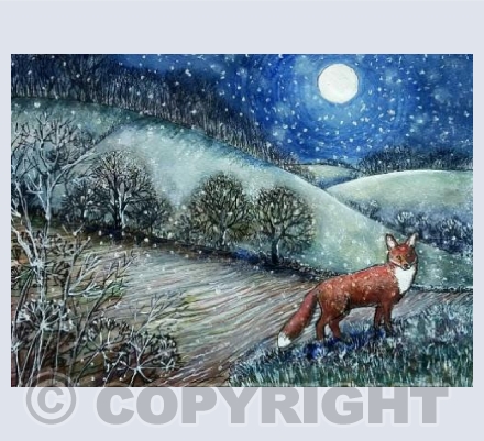 Fox on a winter night