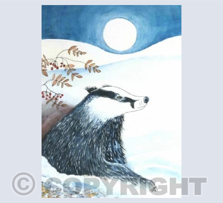 Badger ventures out