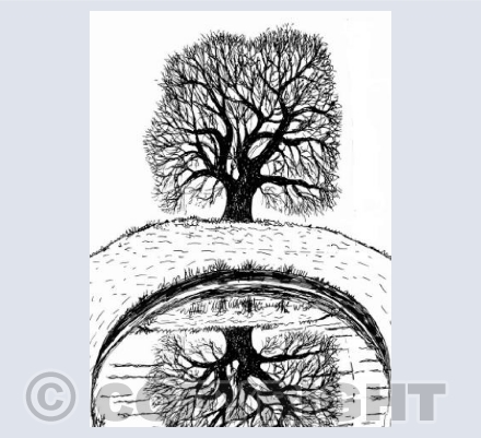 Tree on the hill