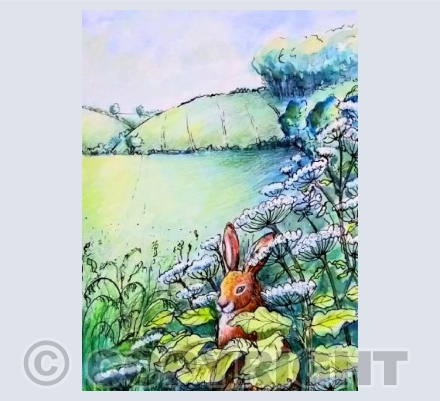 Midsummer hare