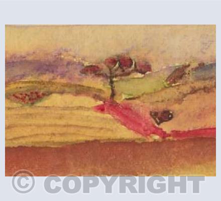 Indian Landscape