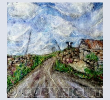 Lanyon Farm Cow in Summer