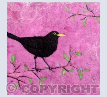 Blackbird