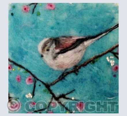 Long-tailed tit