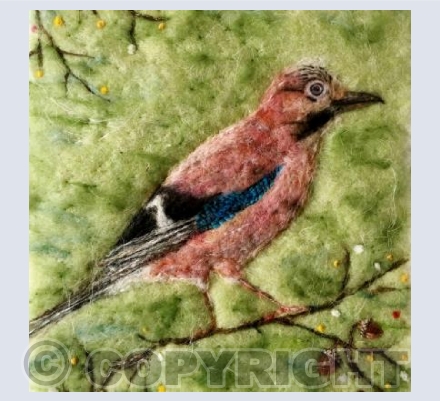 Garden Jay with acorns