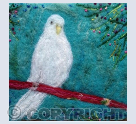 Angel the budgie