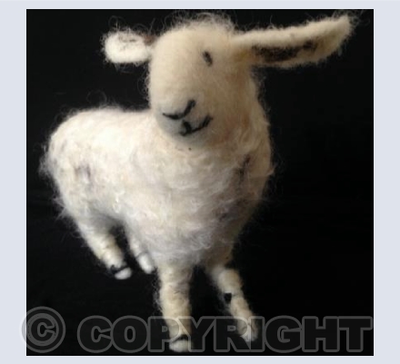 Smiling Arran the sheep