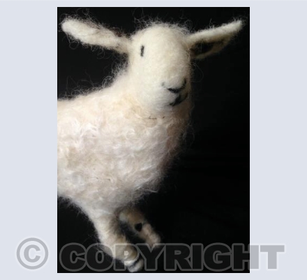 Arran the Sheep - pondering! 