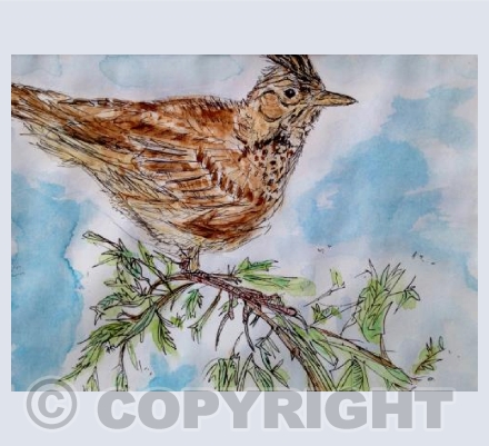 Skylark on branch