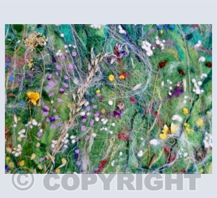 Summer hedgerow, Cornwall