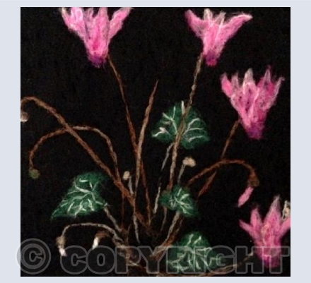 Pink Cyclamen