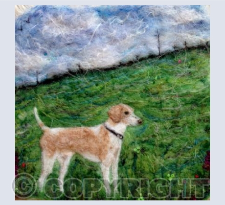 Beautiful George the Beagle