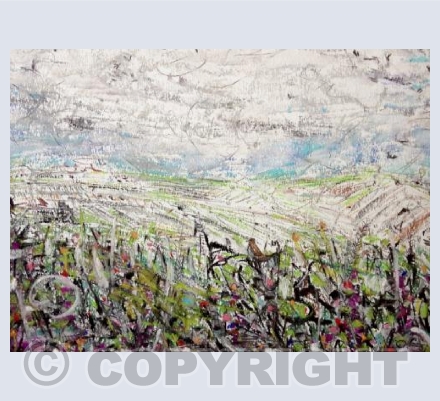 Spring birdsong, over the fields, Cornwall