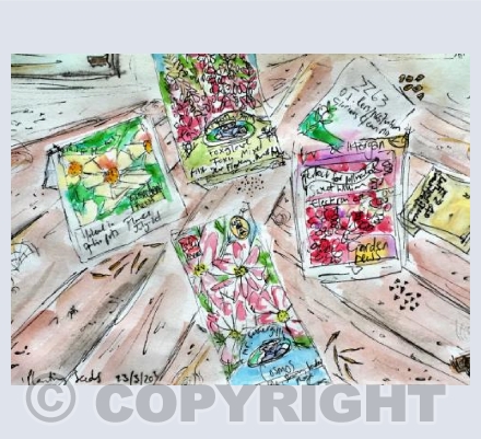 Planting seeds
