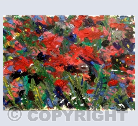 June Flowerbed