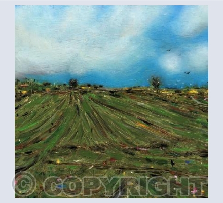 Field in March, Gulval