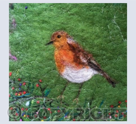 Garden Robin