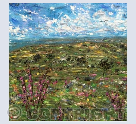 View from Tregonning Hill