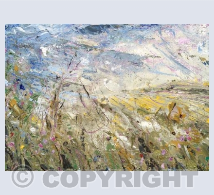 Across the fields, with birdsong