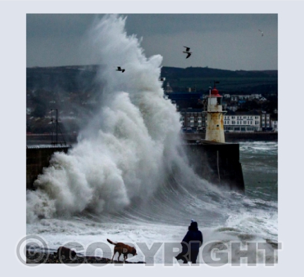 Newlyn Storm