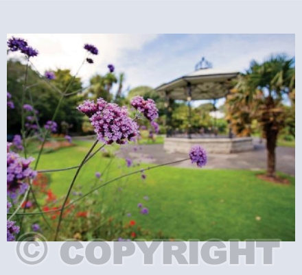 Morrab Gardens