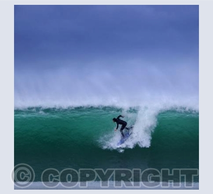 Winter Swell SQ