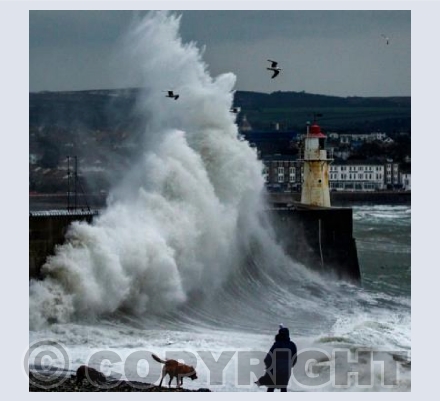 Harbour Storm