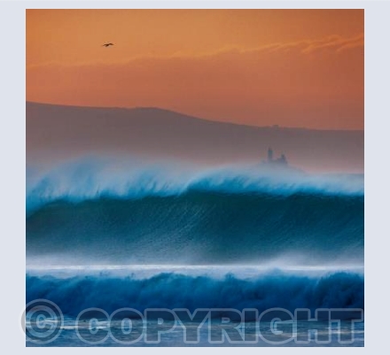 Evening Glide