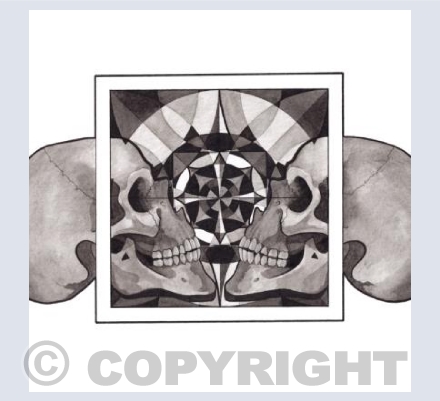 Skull Mandalas, Reflection 2017