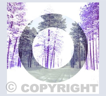 White Circle