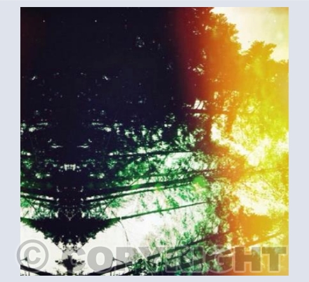 tree1