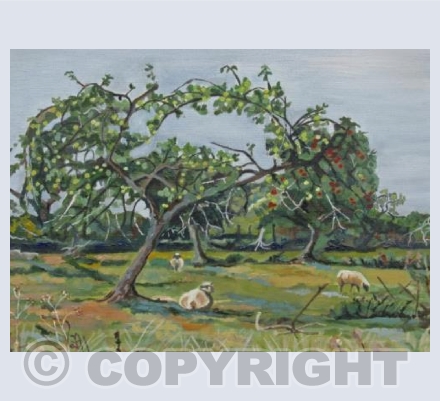Curry Mallet Orchard