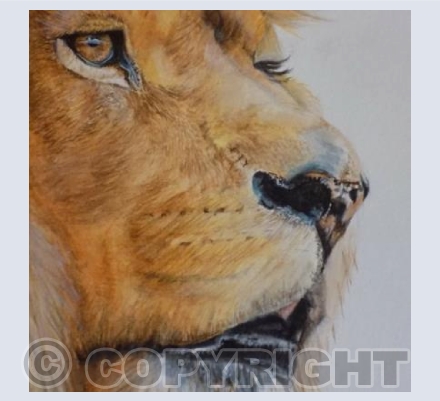 "King Of The Wild"