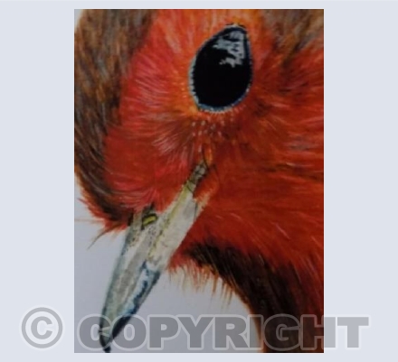"Red"