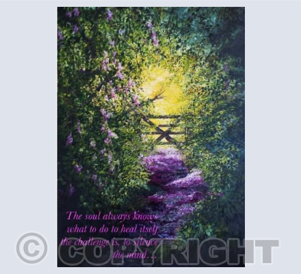 Petal Strewn Pathway
