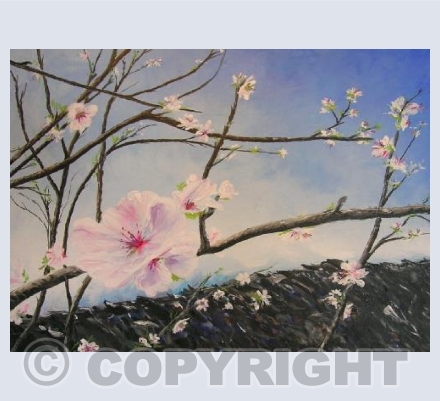 Arrival of Spring 